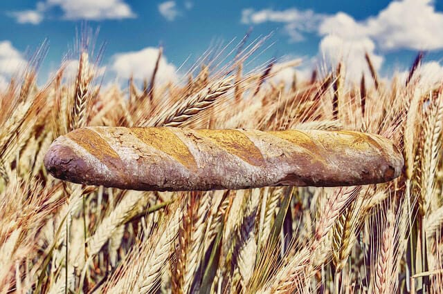 麦とパン