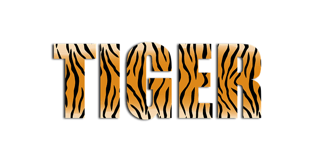 タイガーのアルファベット