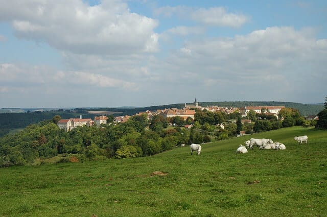 Borgoña