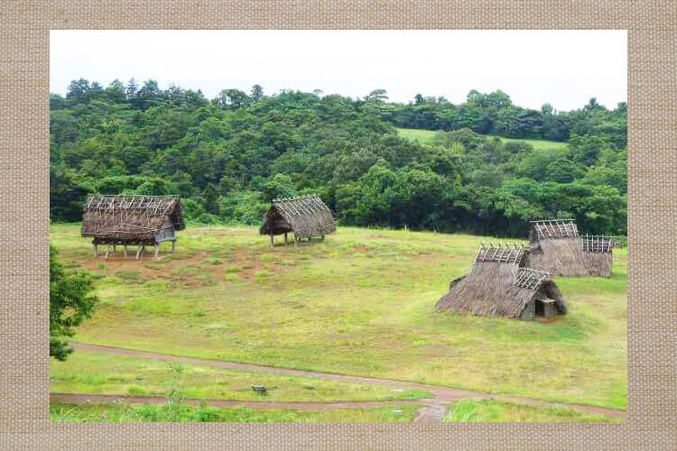 Stilt and pit dwellings