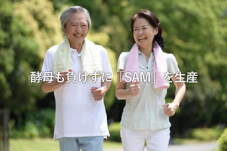 運動（ウォーキング）するシニア夫婦