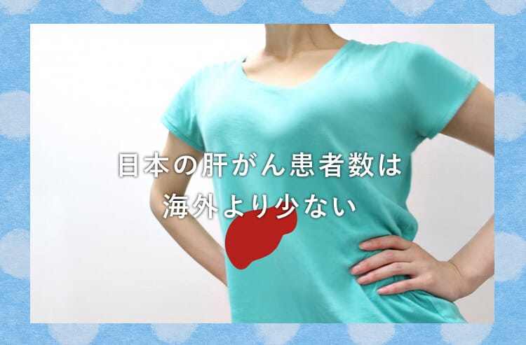 女性の体と肝臓