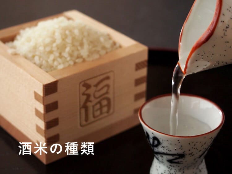 日本酒 徳利 おちょこ 米