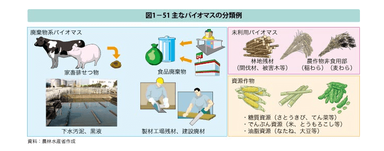 主なバイオマス分類例