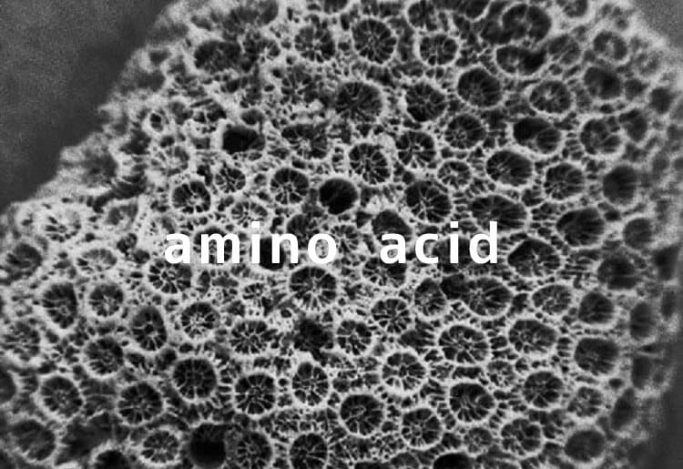 アミノ酸