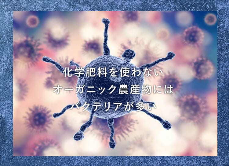 バクテリア