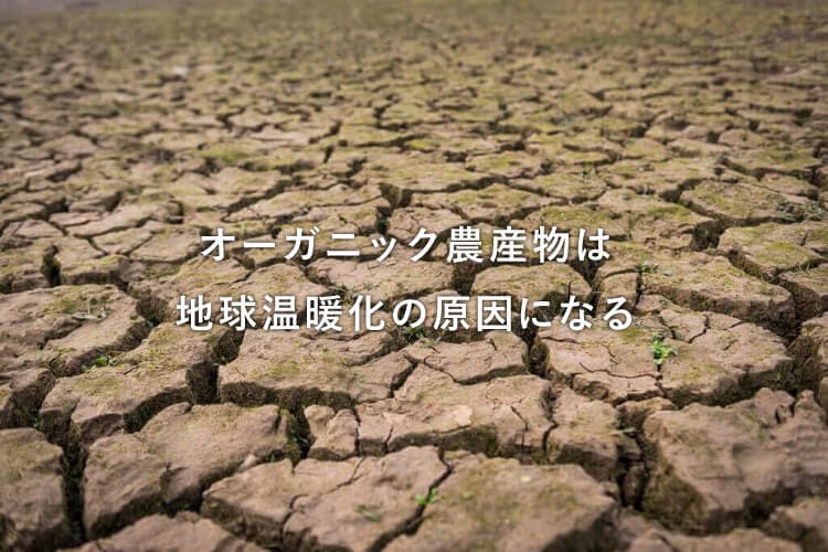 地割れ