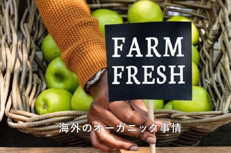 販売されているりんご