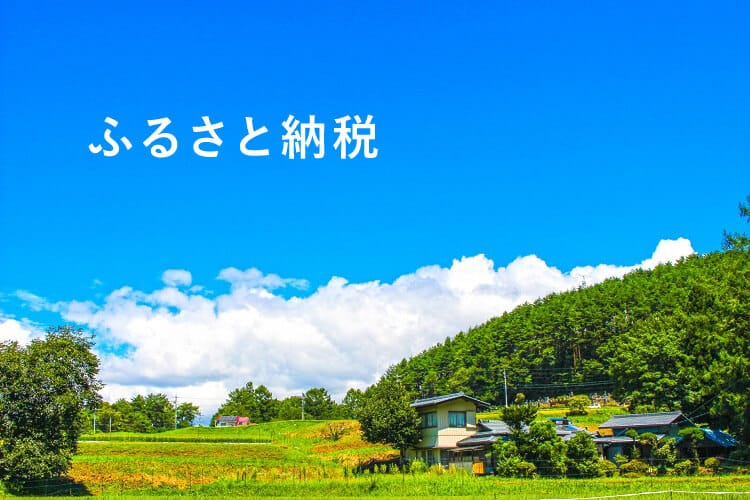 ふるさと納税　イメージ　田舎の風景