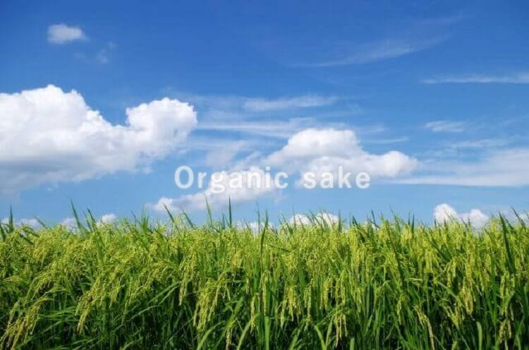 田んぼ 稲穂