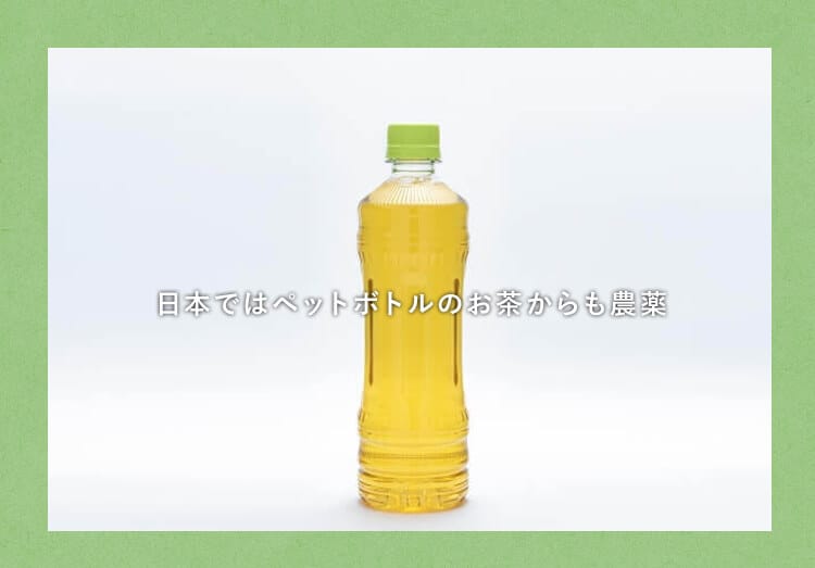 ペットボトルのお茶