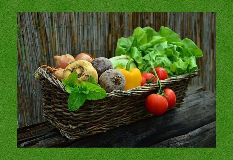 野菜