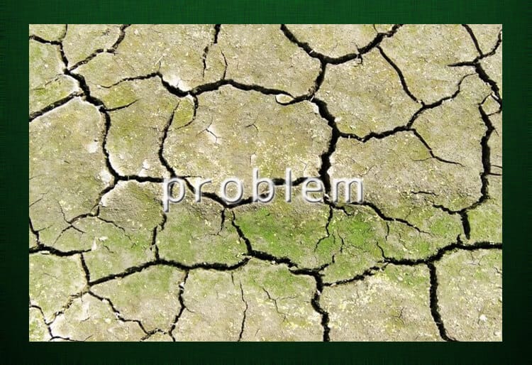 ひび割れた地面