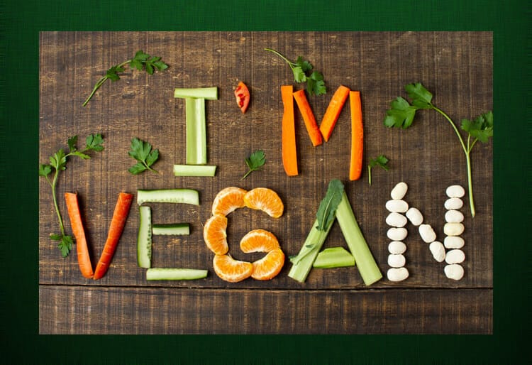 Saya logo VEGAN