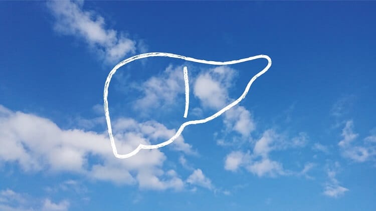 Obraz wątroby (ilustracja wątroby na niebie)