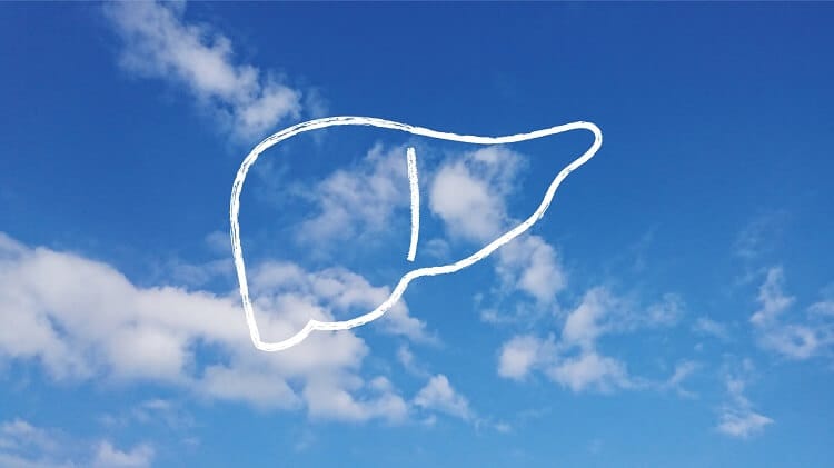 肝臓のイメージ（空に肝臓のイラスト）