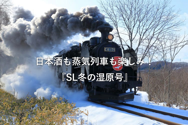 SL冬の湿原号