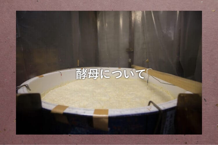米を発酵させて日本酒を作る過程