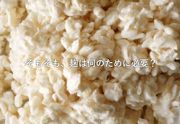 米麹のアップ
