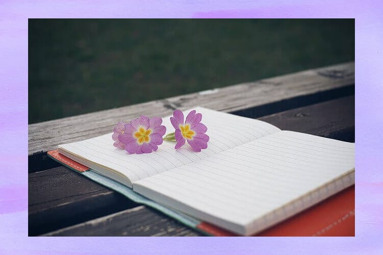 ノートの上に紫の花の花びらが二つ乗っている