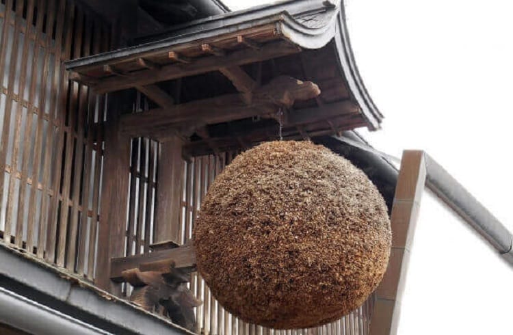 Bola de cedro