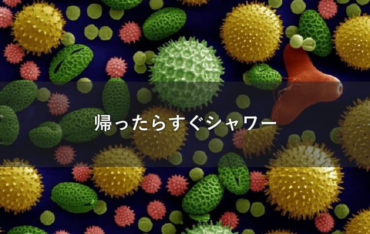 ウイルスのイメージ画像