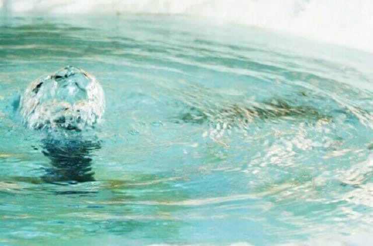 清らかな川の水