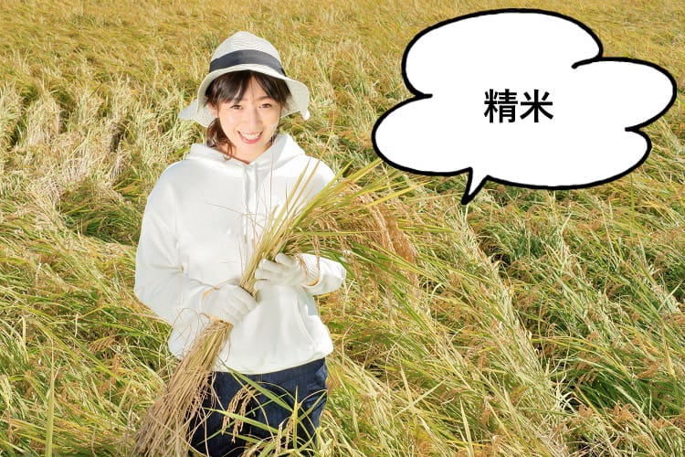 精米と話す女性